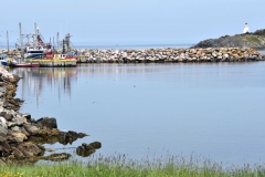 Anita-Hant_s-Harbour-Boat-Refections_-Anita-Schlarb