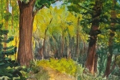 Beattie_Brenda_Torboulton-Forest-framed-to-10x14