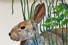 Beillard-Polymer-Pencil-on-paper-on-birch-panel-4x6-Eastern-Cottontail-Cheryl-Ann-Beillard